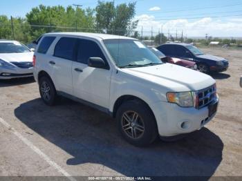  Salvage Ford Escape