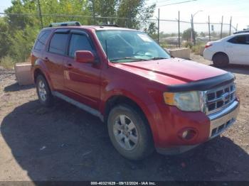  Salvage Ford Escape