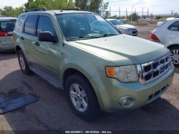  Salvage Ford Escape