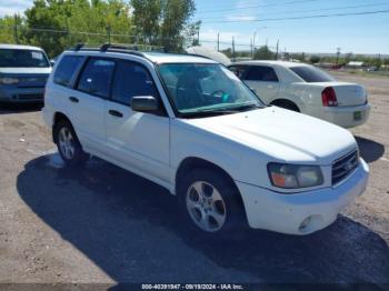  Salvage Subaru Forester