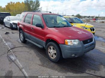  Salvage Ford Escape