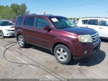  Salvage Honda Pilot