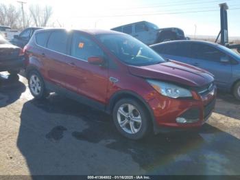  Salvage Ford Escape