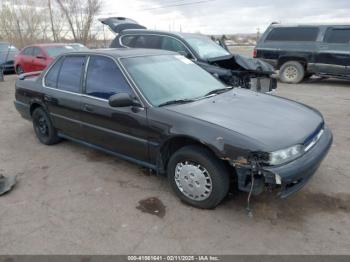  Salvage Honda Accord