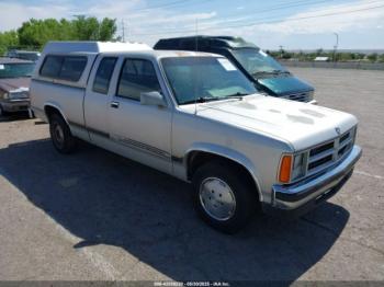  Salvage Dodge Dakota