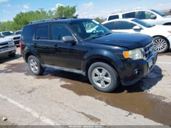  Salvage Ford Escape