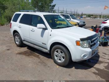  Salvage Ford Escape