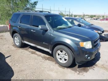  Salvage Ford Escape