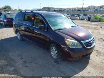  Salvage Honda Odyssey