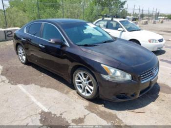  Salvage Nissan Maxima