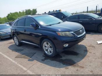  Salvage Lexus RX