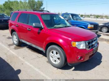  Salvage Ford Escape
