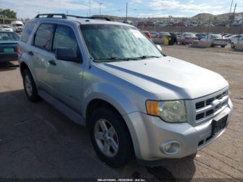  Salvage Ford Escape
