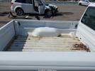 Ford Ranger Image 9