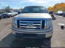 Ford F-150 Image 2