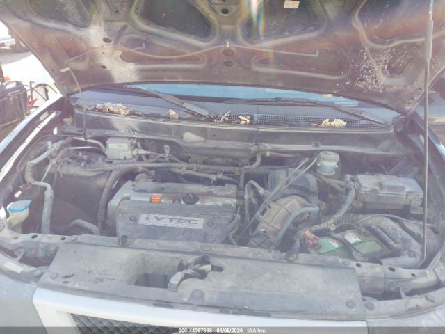 Honda Element Lx Image 6